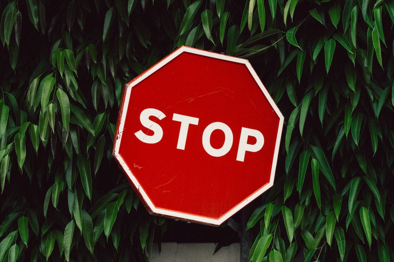 red and white Stop road sign near green tree